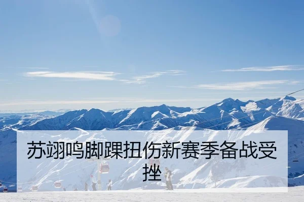 苏翊鸣脚踝扭伤新赛季备战受挫